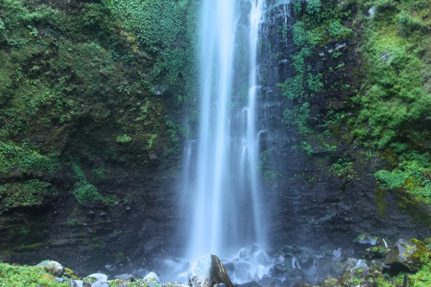 Air terjun Coban Talun Batu dikelilingi rindangnya hutan pinus yang sejuk dan asri